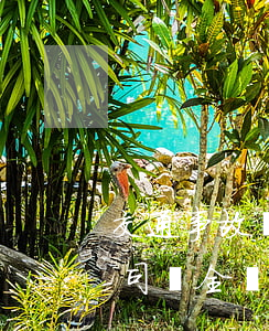 交通事故對方全責需要找律師嗎(交通事故.司機全責.傷者用請律師嗎)