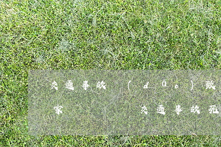 交通事故導(dǎo)致人員死亡的怎么跟家屬談賠償(交通事故死亡家屬賠償分配)