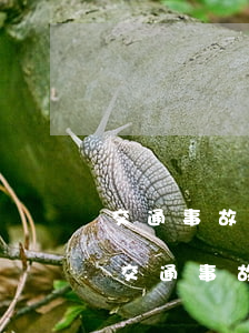 交通事故尾骨骨折能賠多少錢(qián)(交通事故尾骨骨折能賠多少錢(qián))