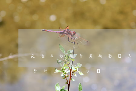 交通事故尾骨骨折能賠多少錢(交通事故尾骨骨折能賠多少錢)