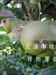 交通事故尾骨骨折能賠多少錢(交通事故尾骨骨折要賠多少錢)