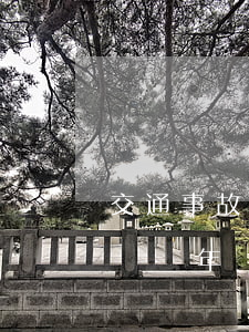 交通事故已超一年還可以訴訟嗎(交通事故超過兩年還能理賠嗎)