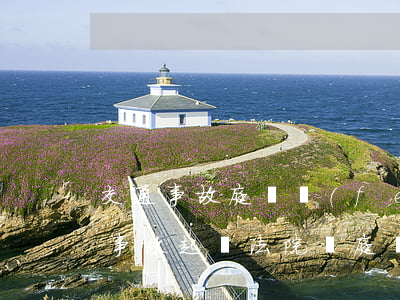 交通事故庭審費(fèi)用一般多少(交通事故起訴法院,開庭費(fèi)誰出)