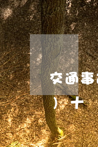 交通事故強(qiáng)制險(xiǎn)十級(jí)傷殘能賠多少錢(交通事故十級(jí)傷殘交強(qiáng)險(xiǎn)能賠多少錢)