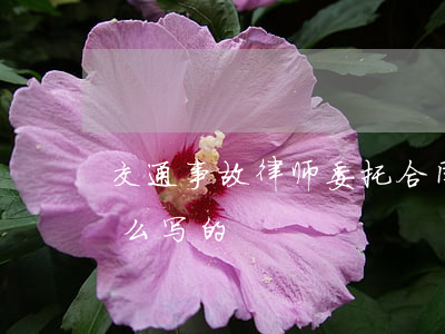 交通事故律师委托合同(交通事故律师合同怎么写的)
