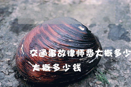 交通事故律师费大概多少(交通事故请个律师大概多少钱)