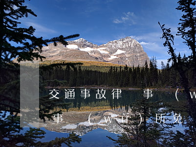 交通事故律師事務(wù)所(交通事故律師事務(wù)所免費(fèi)咨詢)