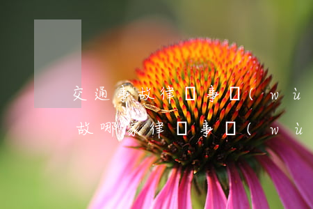 交通事故律師事務(wù)所哪最好(交通事故哪家律師事務(wù)所比較好)