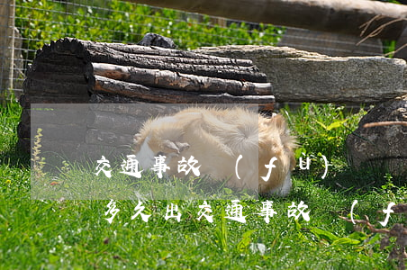 交通事故復(fù)議結(jié)果最多多久出(交通事故復(fù)議結(jié)果通知)