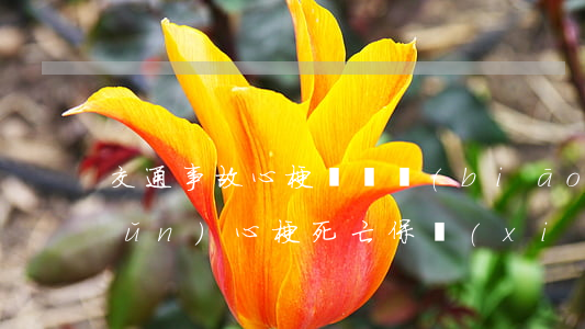 交通事故心梗賠償標(biāo)準(zhǔn)(心梗死亡保險(xiǎn)理賠嗎)