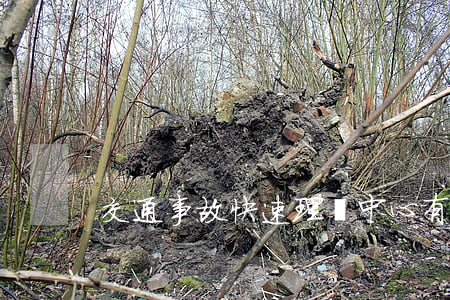 交通事故快速理賠中心有什么處理技巧
