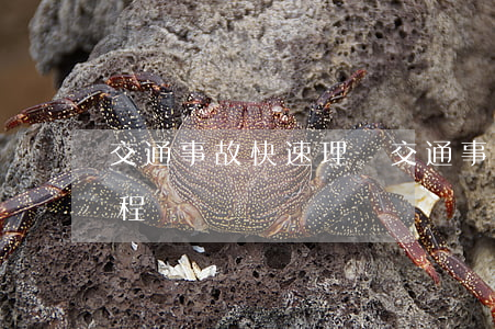 交通事故快速理賠(交通事故快速理賠處理流程)