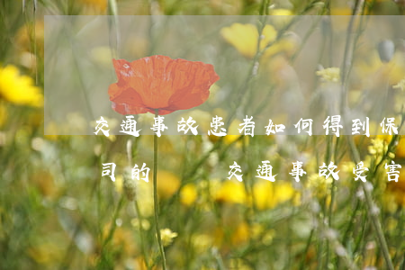 交通事故患者如何得到保險(xiǎn)公司的賠償，交通事故受害者怎么向保險(xiǎn)公司索賠