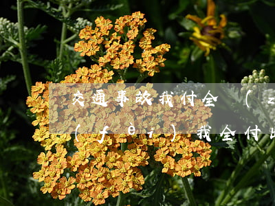 交通事故我付全責(zé)醫(yī)藥費(fèi)我全付(出了車禍對(duì)方全責(zé)不付醫(yī)藥費(fèi))