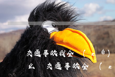 交通事故我全責(zé)有全險對方要錢怎么辦(交通事故全責(zé)有保險車主需要出錢嗎)