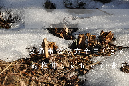 交通事故我方全責(zé)對(duì)方的拖車(chē)費(fèi)(交通事故中的拖車(chē)費(fèi)用誰(shuí)負(fù)責(zé))