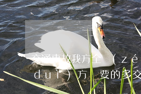交通事故我方全責(zé)無人員傷亡對(duì)方錢要的多(交通事故對(duì)方全責(zé)無力賠償)