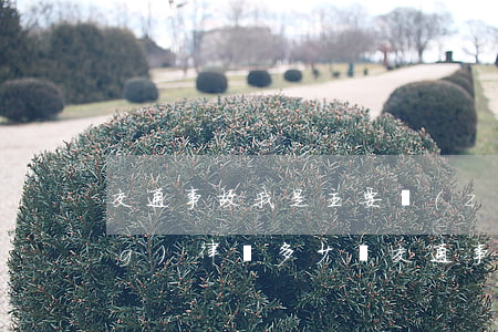 交通事故我是主要責(zé)任請(qǐng)律師多少錢(交通事故已經(jīng)定責(zé)任還需要找律師嗎)