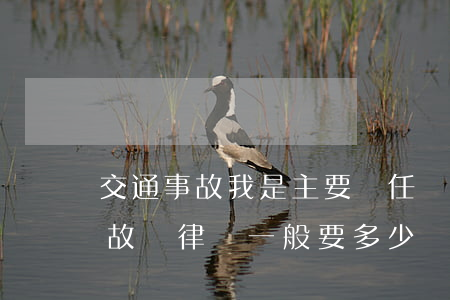 交通事故我是主要責任請律師多少錢(交通事故請律師一般要多少錢)