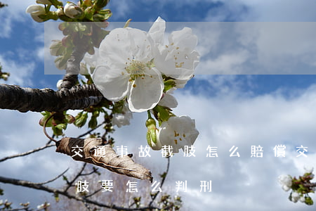 交通事故截肢怎么賠償(交通事故造成重傷截肢要怎么判刑)