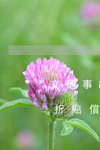 交通事故手指骨折賠償標準(交通事故手指骨折賠償標準)