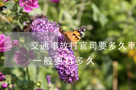 交通事故打官司要多久(車(chē)禍官司一般要打多久)