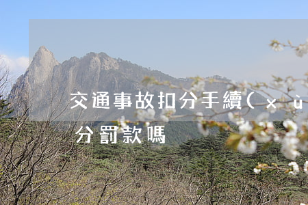 交通事故扣分手續(xù)(交通事故處理扣分罰款嗎)