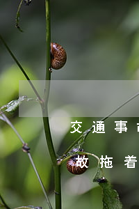 交通事故拖着不出院赔偿费用怎么算(交通事故拖着不出院赔偿费用怎么算)