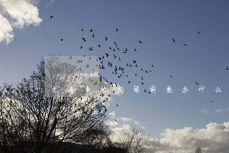交通事故拘留前要办什么手续(交通事故拘留在哪儿呀)