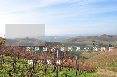 交通事故损害赔偿的范围有哪些（因伤致残的赔偿范围）