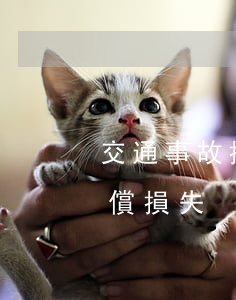交通事故損失幾千元值得起訴么(交通事故賠償損失)