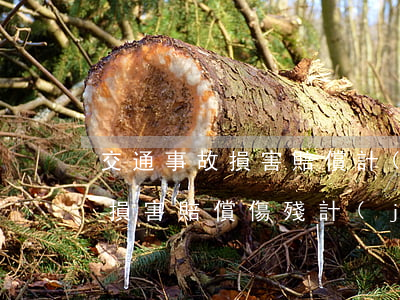 交通事故損害賠償計(jì)算器(交通事故損害賠償傷殘計(jì)算公式)