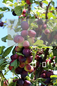 交通事故損害賠償起訴狀保險公司(交通事故財產(chǎn)損害賠償糾紛起訴狀)