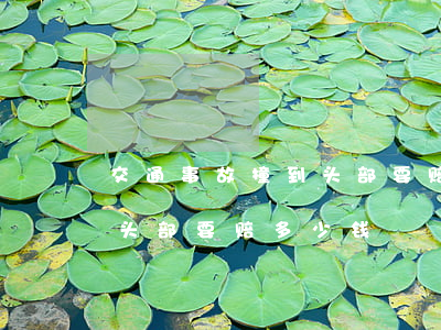 交通事故撞到头部要赔多少钱(交通事故撞到头部要赔多少钱)