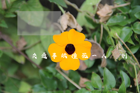 交通事故撞死一人緩刑(開車撞人致死緩刑)