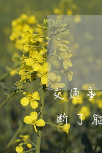 交通事故断了胳膊赔偿二十万(交通事故胳膊断了能赔多少钱)