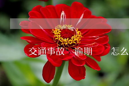 交通事故會逾期時間怎么算