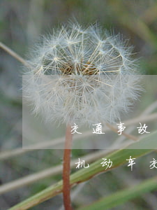交通事故机动车与非机动车事故(机动车和非机动车交通事故)