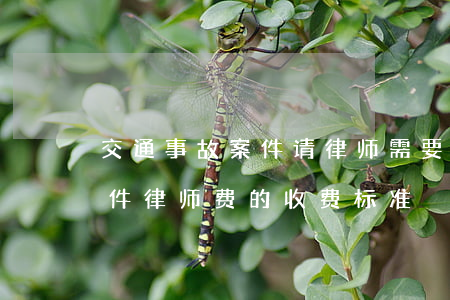 交通事故案件请律师需要多少钱(交通事故案件律师费的收费标准)
