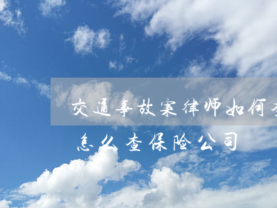 交通事故案律师如何查保险单(交通事故起诉怎么查保险公司)