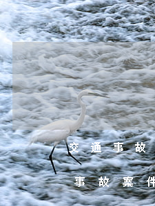 交通事故案律師費(fèi)用是多少(交通事故案件律師費(fèi)的收費(fèi)標(biāo)準(zhǔn))