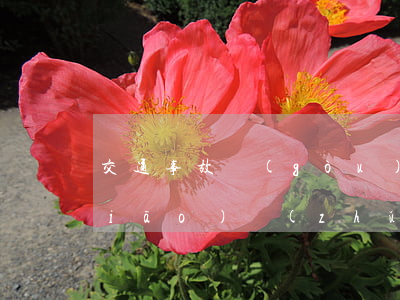 交通事故構(gòu)成十級傷殘的標(biāo)準(zhǔn)是什么