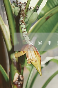 交通事故欠錢不還屬于型事嗎