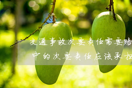 交通事故次要责任需要赔偿对方吗(交通事故中的次要责任应该承担多少)