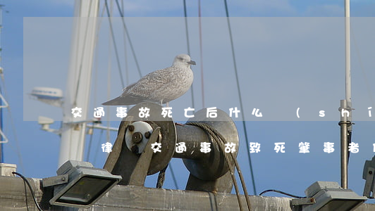 交通事故死亡后什么時(shí)候開始要請律師(交通事故致死肇事者什么時(shí)候拘留)