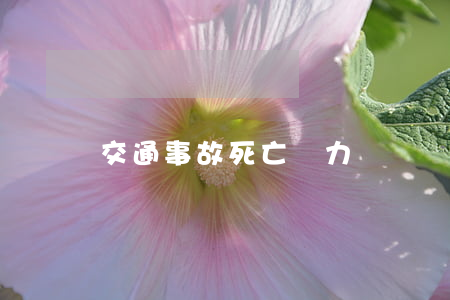 交通事故死亡無力償還