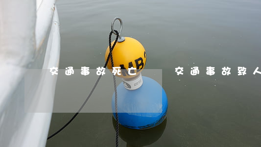 交通事故死亡糾紛(交通事故致人死亡民事判決書)