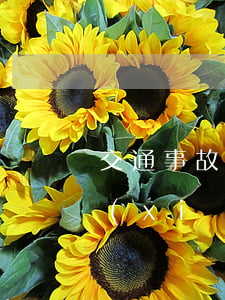 交通事故死亡賠償協(xié)議需要保險(xiǎn)公司嗎(交通死亡保險(xiǎn)賠付后當(dāng)事人要賠嗎)