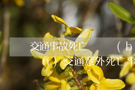 交通事故死亡賠償標(biāo)準(zhǔn)(交通意外死亡事故賠償標(biāo)準(zhǔn))