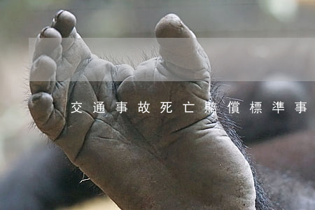 交通事故死亡賠償標準(事故死亡賠償標準)